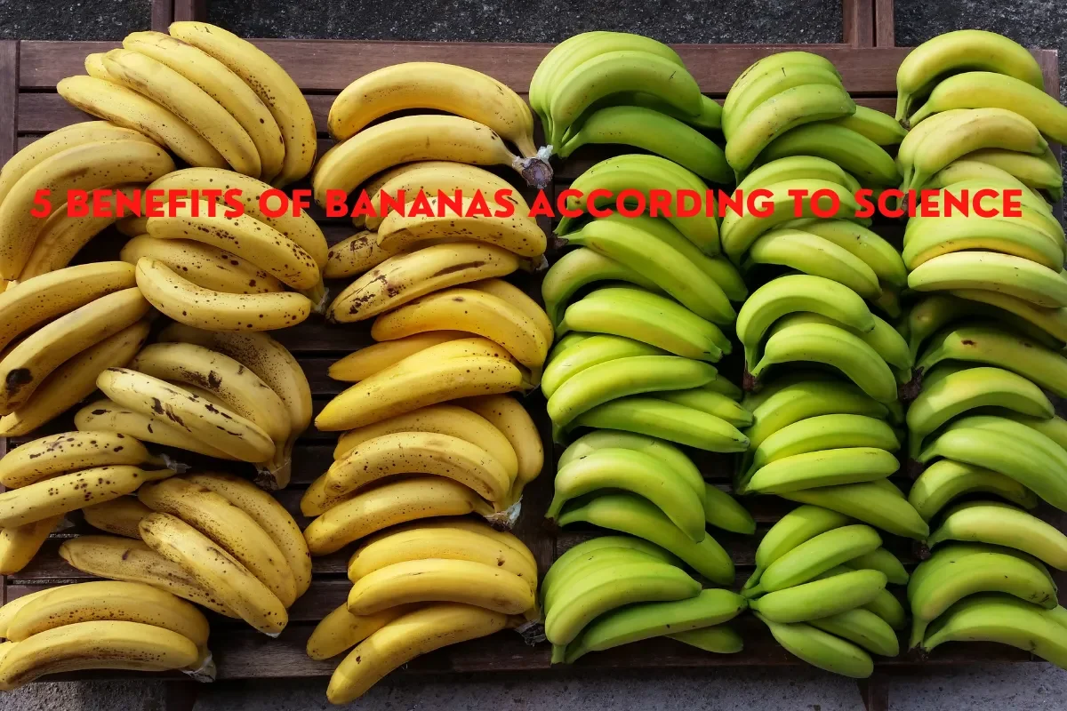 Benefits of Bananas According to Science
