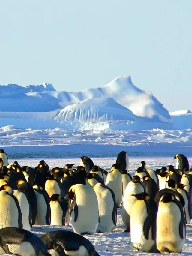 Who Controls Antarctica?