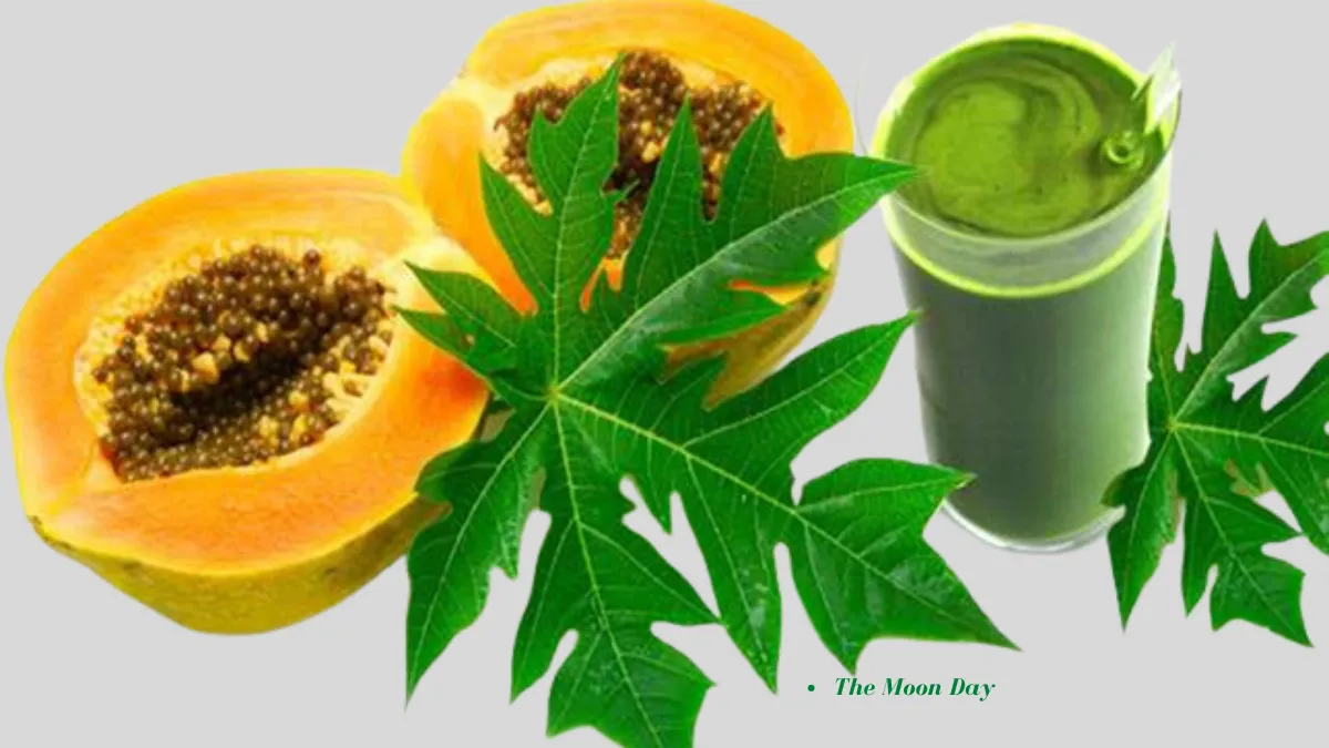 (Papaya fruit, leaves and seeds are a very good source of vitamins, minerals, fiber and antioxidants. Useful bitterness, here are 8 benefits of papaya leaves