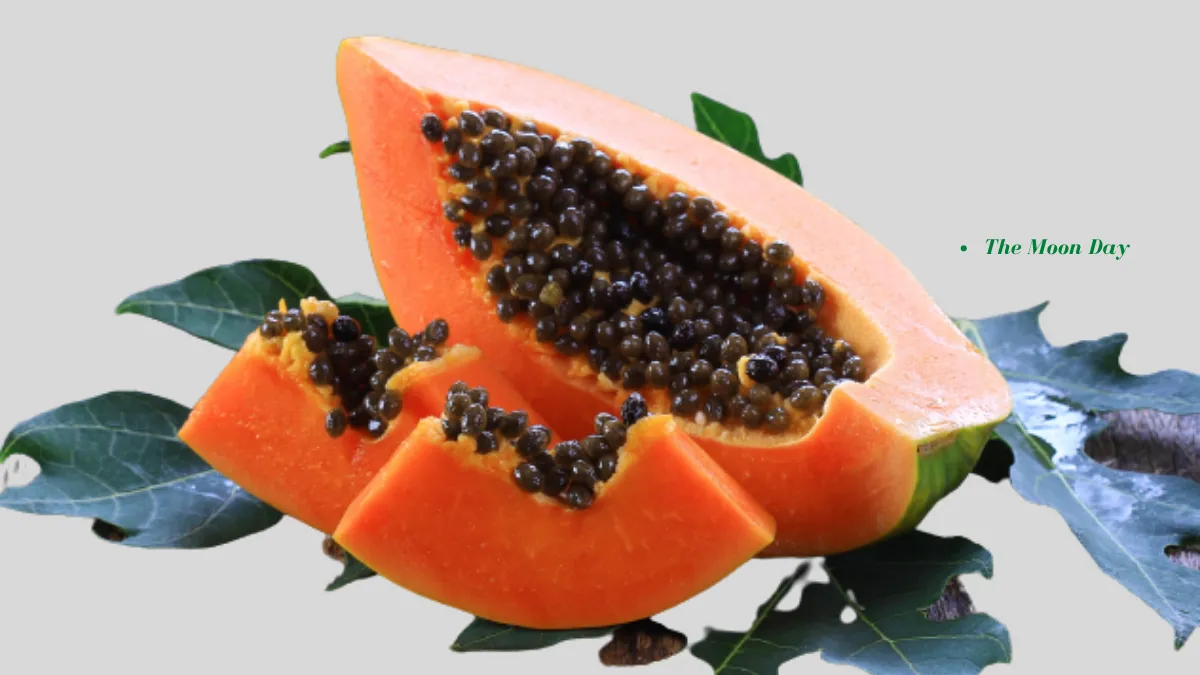 Not Just Bitter, Here are 8 Benefits of Papaya Leaves for Health
(Papaya fruit, leaves and seeds are a very good source of vitamins, minerals, fiber and antioxidants.