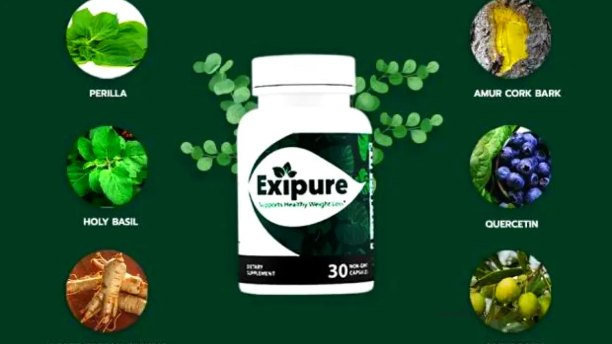 The Manufacturers of Exipure Ingredients 