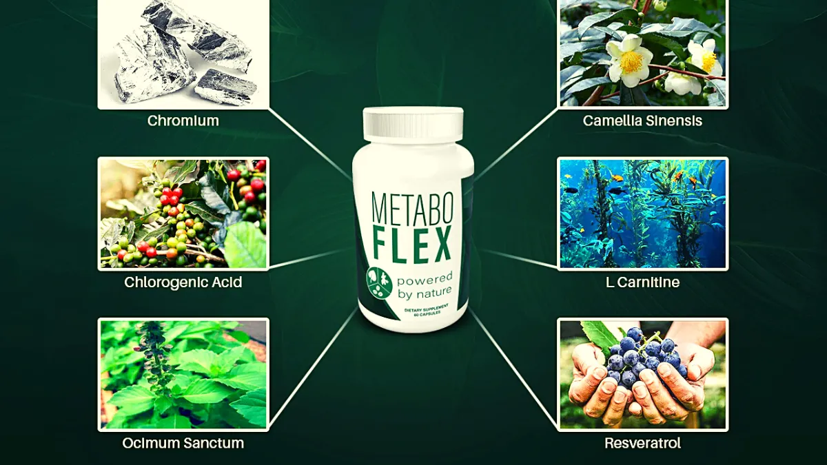 Metabo Flex Ingredients And Benefits themoonday