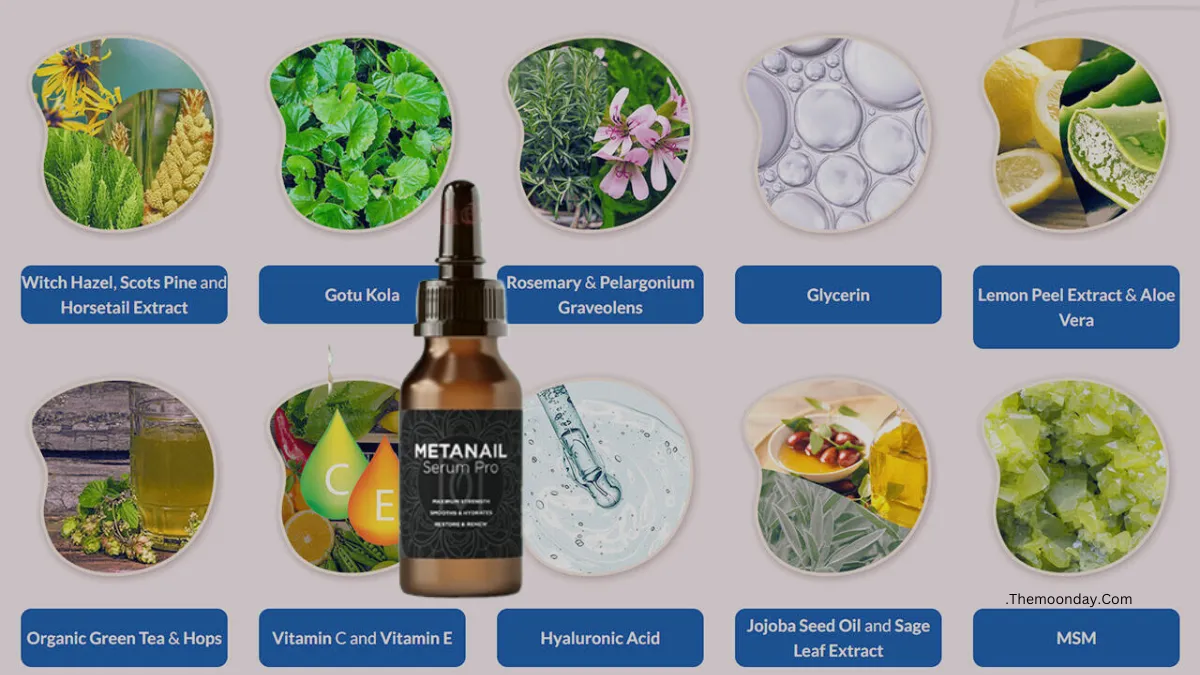 Ingredients in MetaNail Serum Pro: themoonday